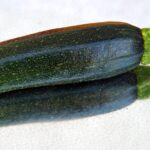 Zucchine grigliate condite con olio, aglio e spezie su un piatto elegante.