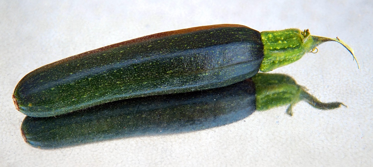 Zucchine grigliate condite con olio, aglio e spezie su un piatto elegante.